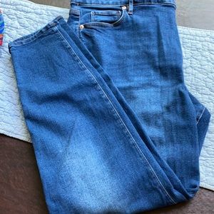 Size 20 Loft Plus skinny jeans